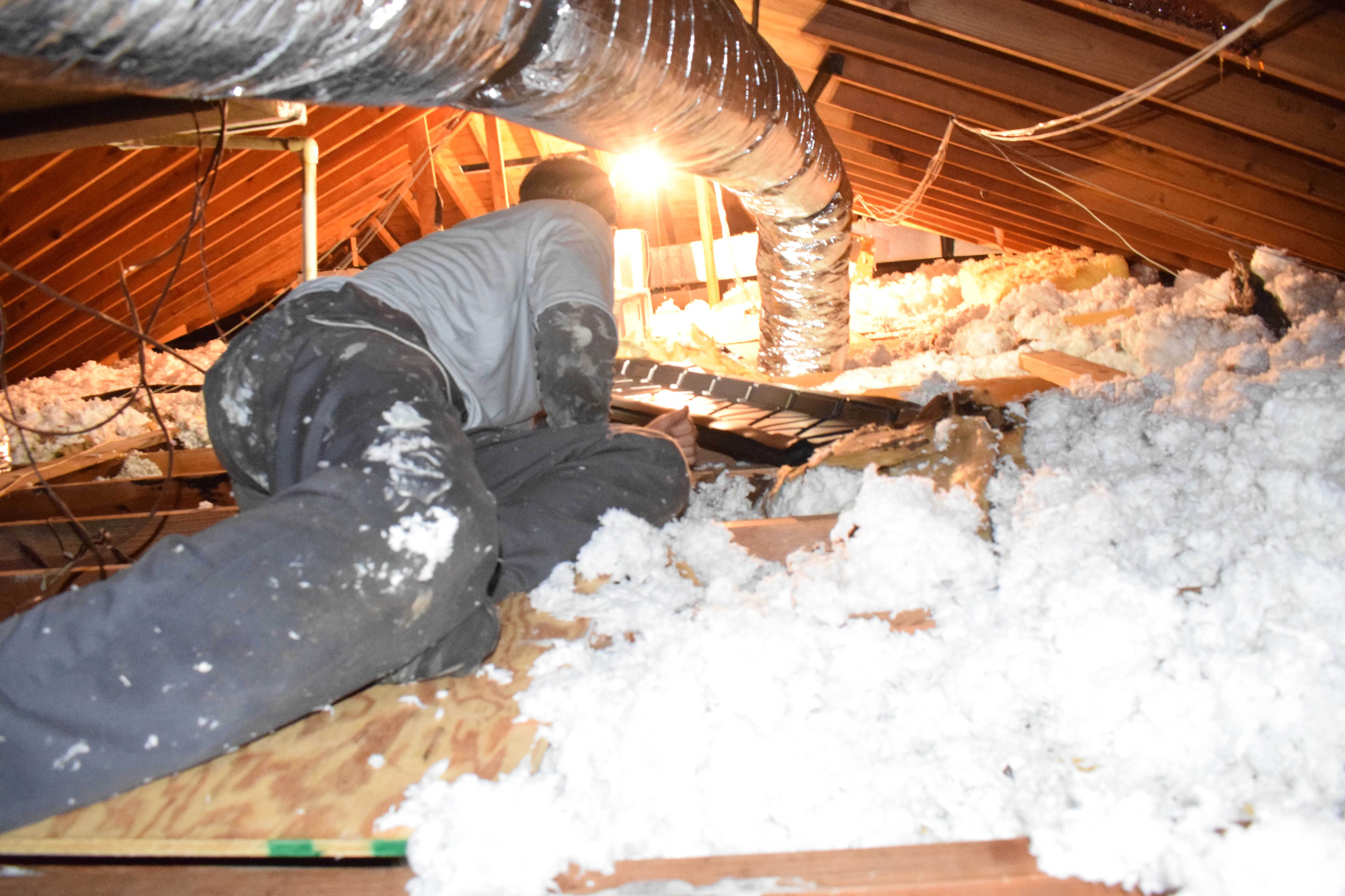 sealing the attic entrance point