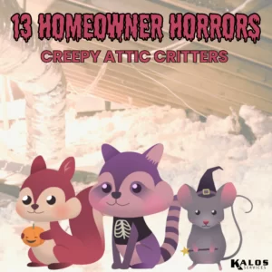 Homeowner Horror Story #5 – Creepy Attic Critters