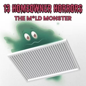 Homeowner Horror #12: The Word No Homeowner Wants to Hear